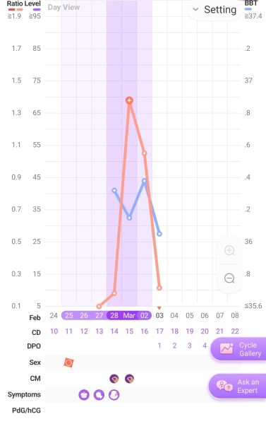 BBT Newbie this cycle  - when did I ovulate?