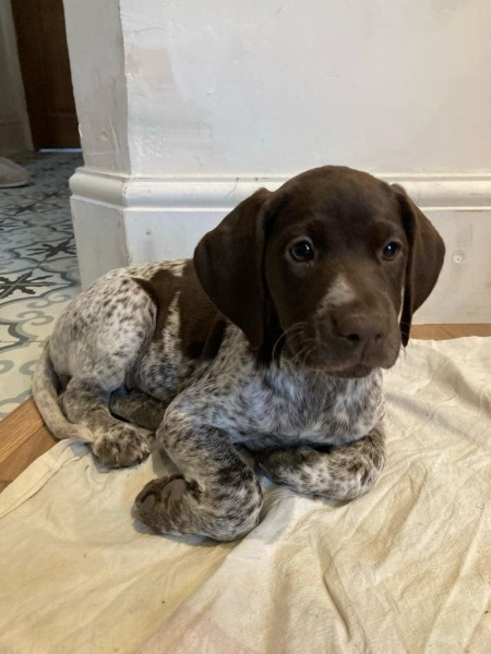 Thread 19 Starmer - A Coalition of the Willing