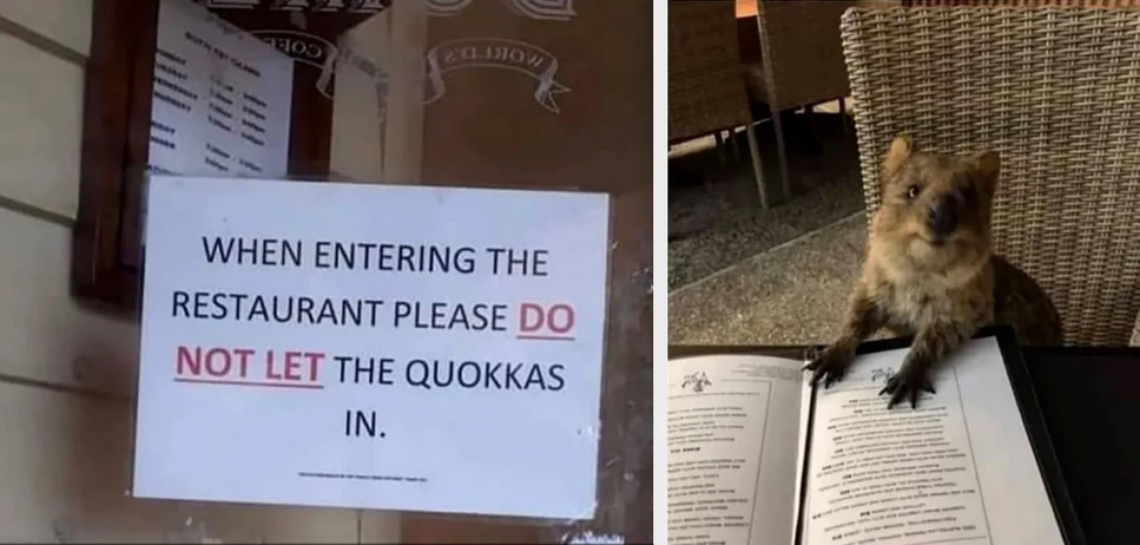 Thread 16 - TalkLair: "Well, I'm not exactly quaking in my stylish-yet-affordable boots, but there's definitely something unnatural going on here."