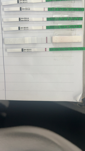 11dpo