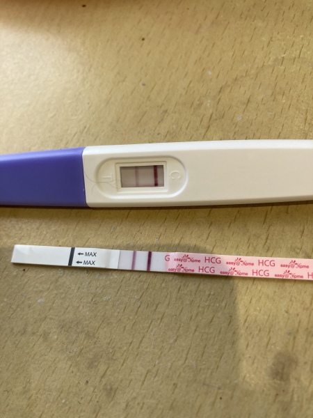BFP after IVF: 2025