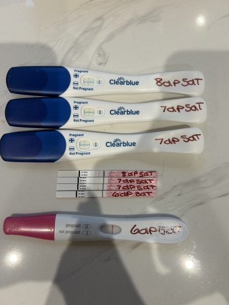 IVF March 2025