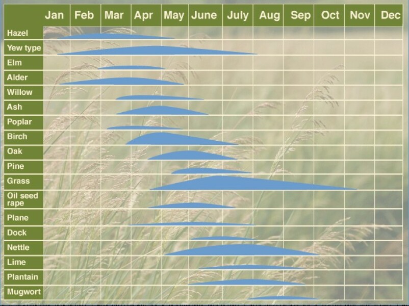 Hayfever in March?