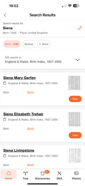 Sienna / Siena