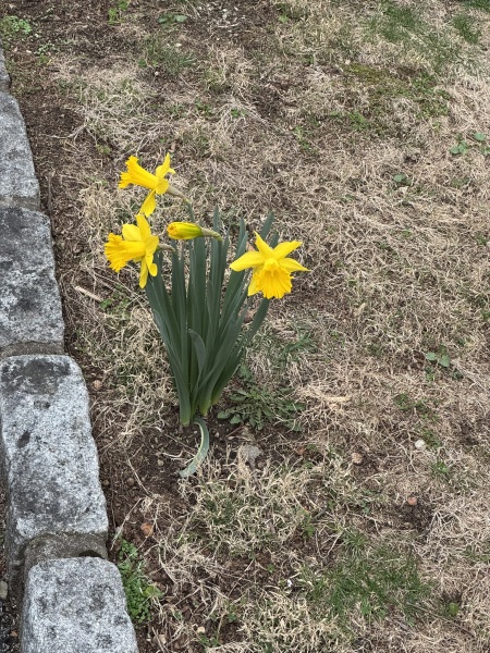 Come and tell us your dull and unexciting news 33: Calmly through the day