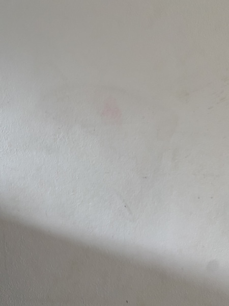 Would you be embarrassed if your walls were lime this?