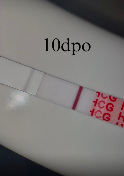 I’m a bit disheartened at the minute