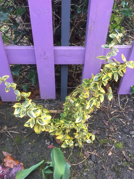 Please help identify these.