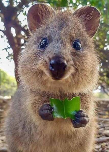 The Bluestocking - where Spring has sprung and the grass is riz.