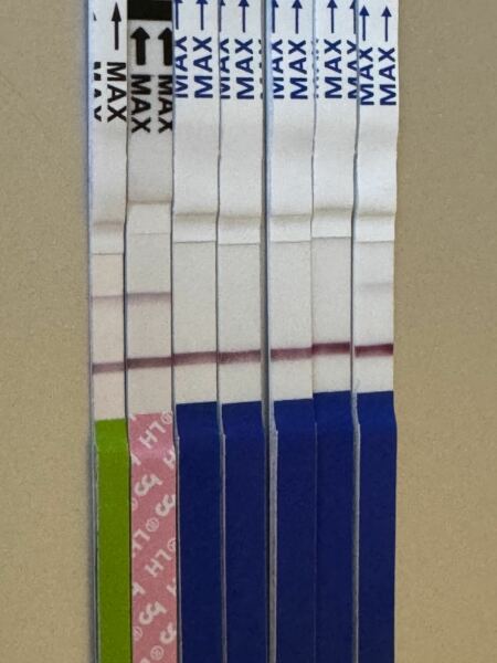 The oldest question in the word… can you guys see a very faint line and if you can does it look like a positive to you?