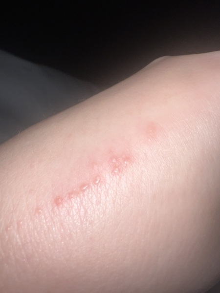 Does anyone know what this could be?