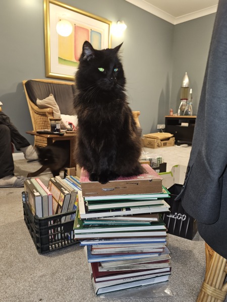 Hymns in Minor Keys & the Russian Easter Overture - the Excellent Cats ignore Culture.....