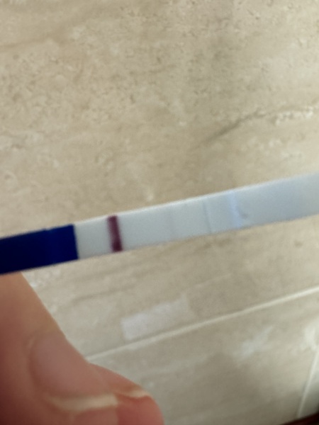 11dpo