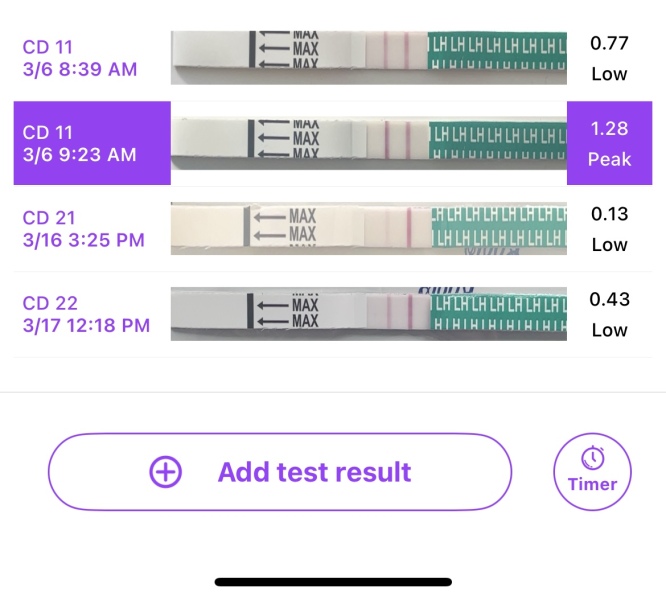 February 2025 TTC Support Group Part 2!