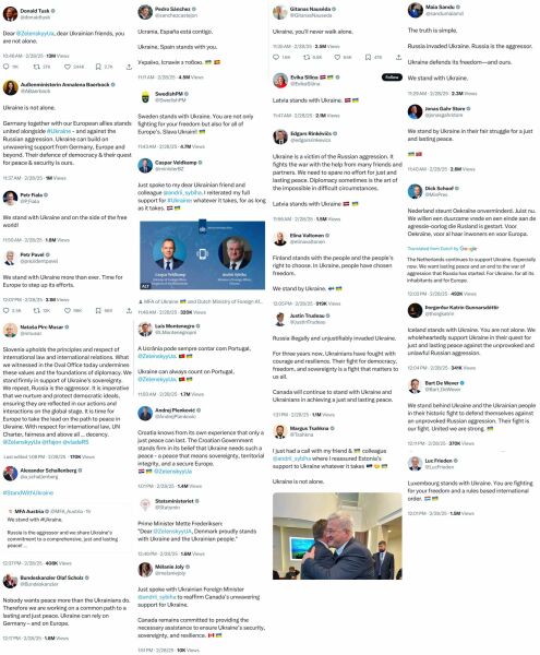 Do you back Zelensky, or do you back Putin and Trump? Poll