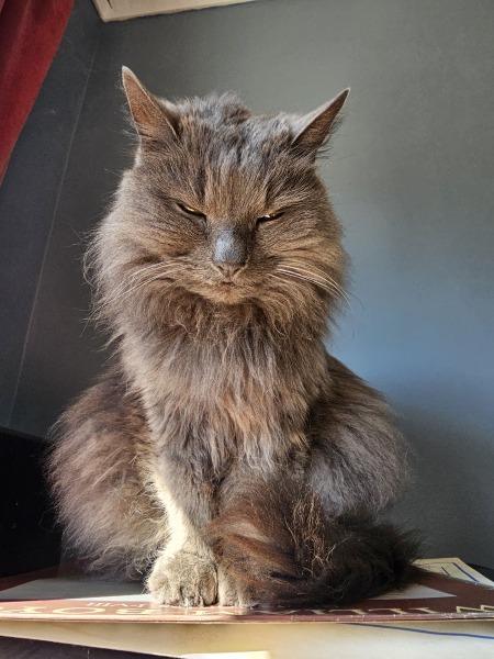 Thread 20 Starmer - Spring Statement