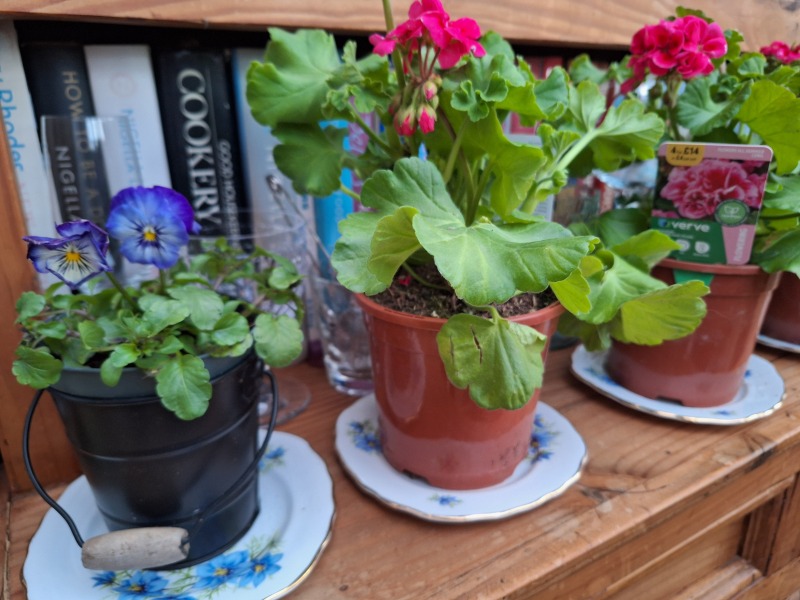 The Year Round Nigel Slater Discussion thread