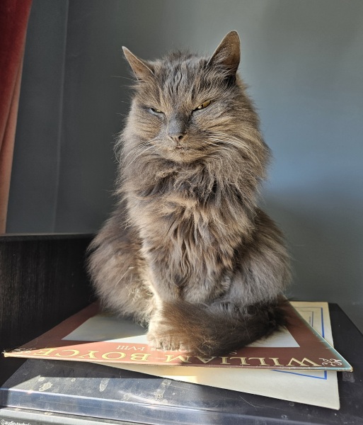 Hymns in Minor Keys & the Russian Easter Overture - the Excellent Cats ignore Culture.....