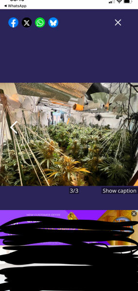 My rented property was turned into a Cannabis Farm