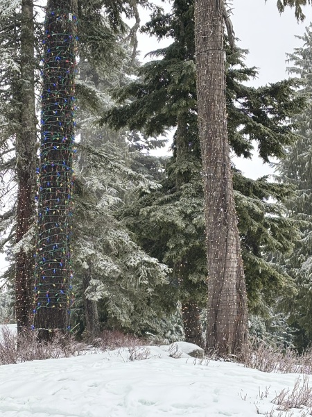 Come and tell us your dull and unexciting news 33: Calmly through the day