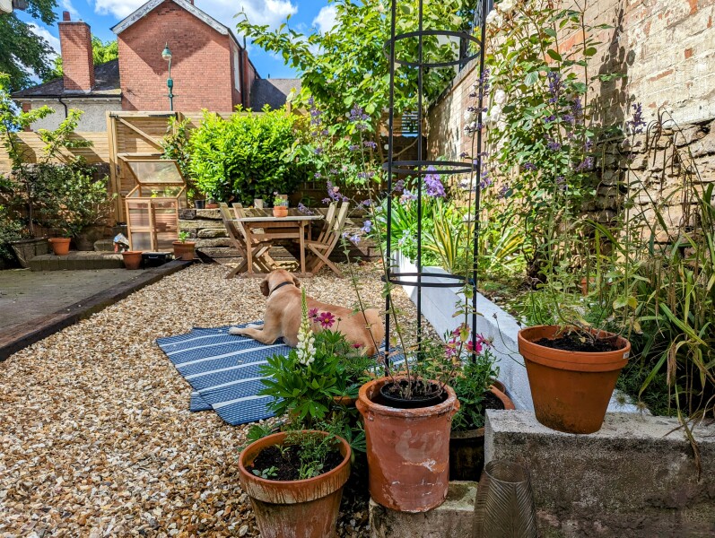 What can I do to make my garden look pretty (pic attached)