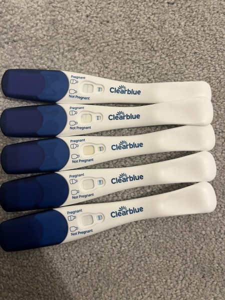 Evap lines or chemical pregnancy?