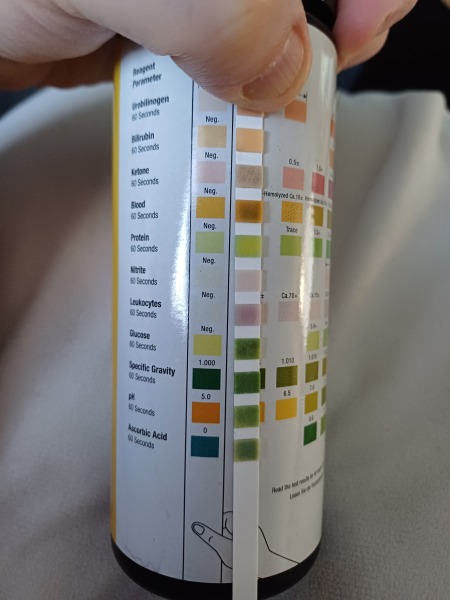 Suspected water infection. Triage or no