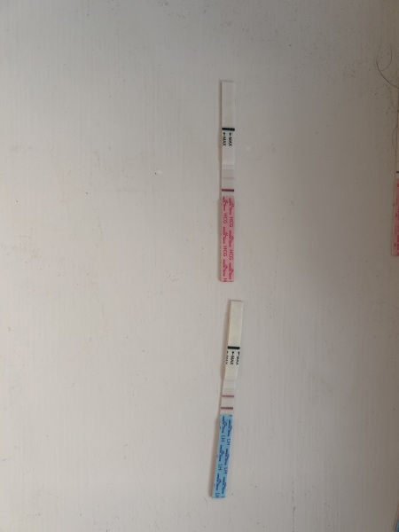 March 2025 TTC support group