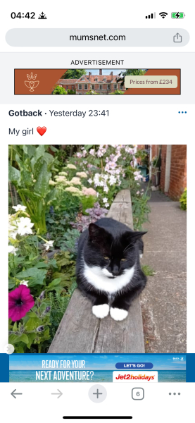 Jet2 ad constantly popping up