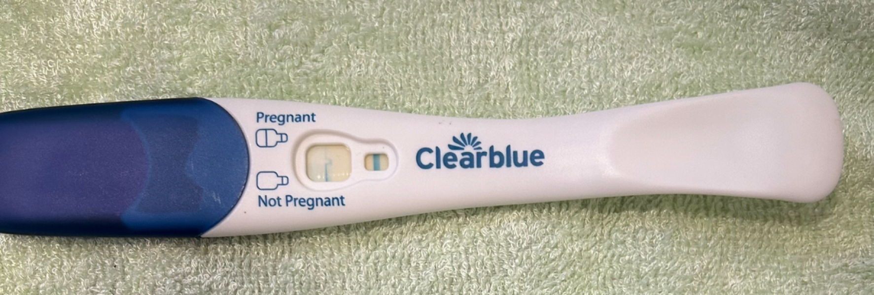 Has anyone had these lines and been pregnant reading so much about evap ??