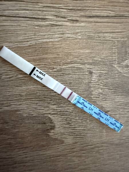 April 2025 TTC Support Group