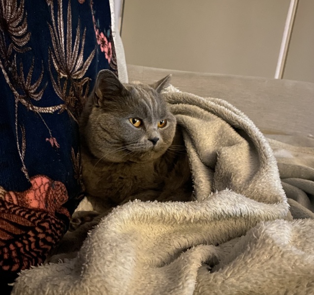 Thread 17 - TalkLair: "Okay, first of all, what's with the outfit? Live in the now, okay? You look like DeBarge."