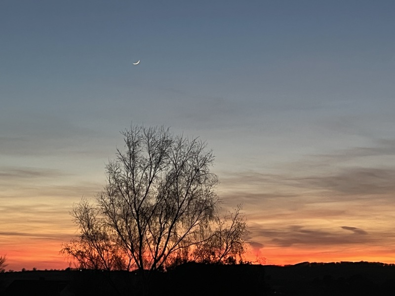 The Year Round Nigel Slater Discussion thread