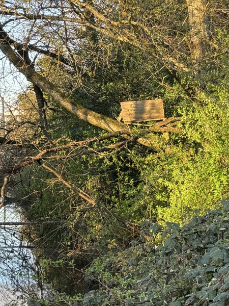 Come and tell us your dull and unexciting news 33: Calmly through the day