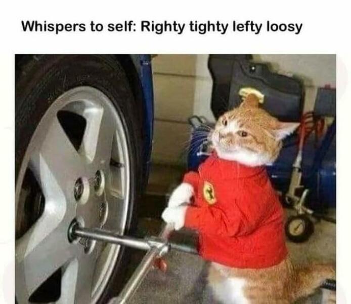 NHS Fife tries to silence nurse - Sandie Peggie vs NHS Fife Health Board and Dr Beth Upton - thread #23