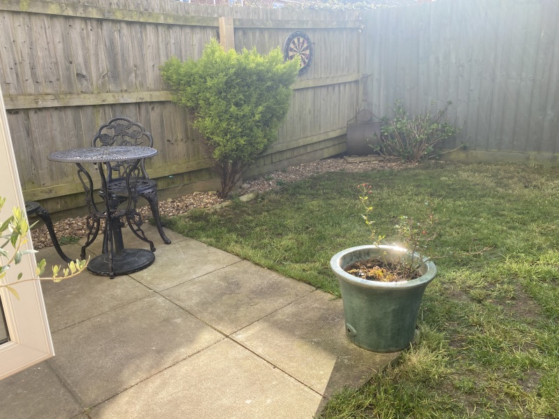 Help me save my garden!