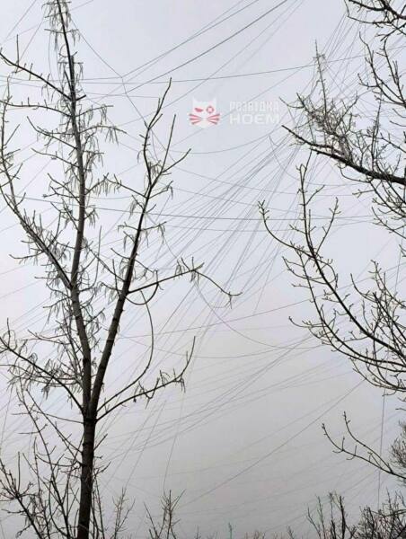 Ukraine Invasion: Part 55