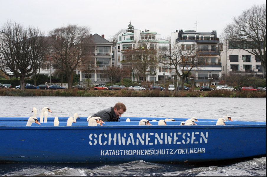 Are Swans being unreasonable?