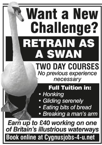 Are Swans being unreasonable?