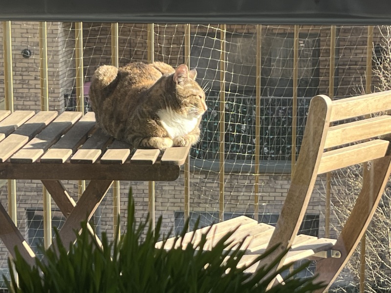 Lap dances, strippers and punch-ups - the Excellent Cats arrange a stag party