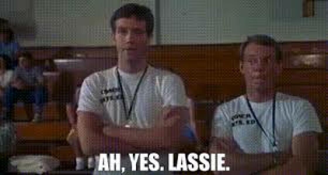 Sex noise from neighbours