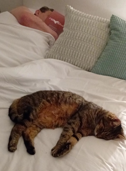 Hymns in Minor Keys & the Russian Easter Overture - the Excellent Cats ignore Culture.....