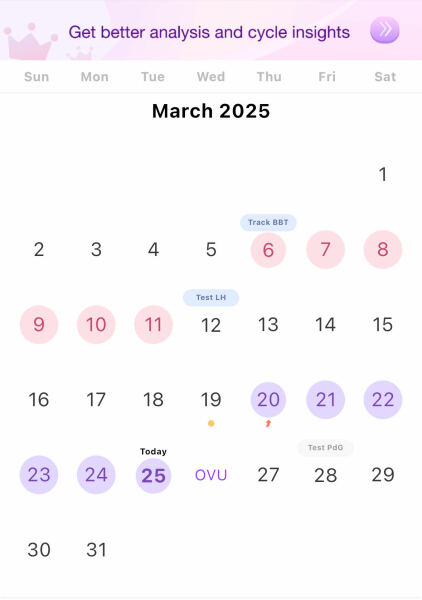 April 2025 TTC Support Group