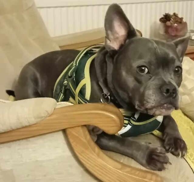 The support thread for anyone trying to live an alcohol free life. Spring 2025.