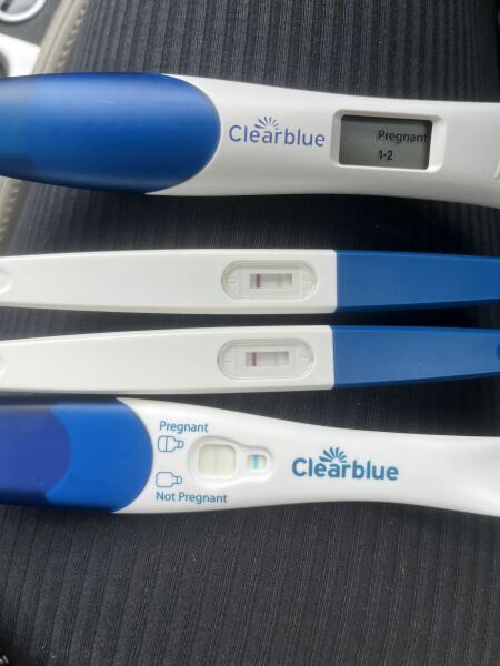 Is this all a dream?