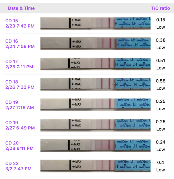 Slightly elevated LH after ovulation