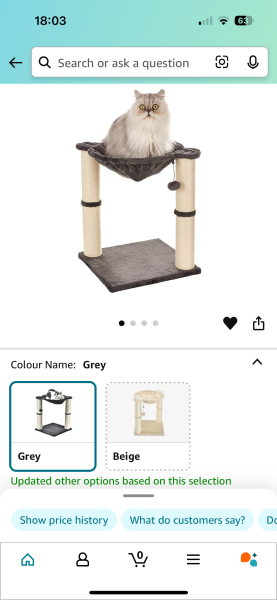 Are Cat Trees Worth It?
