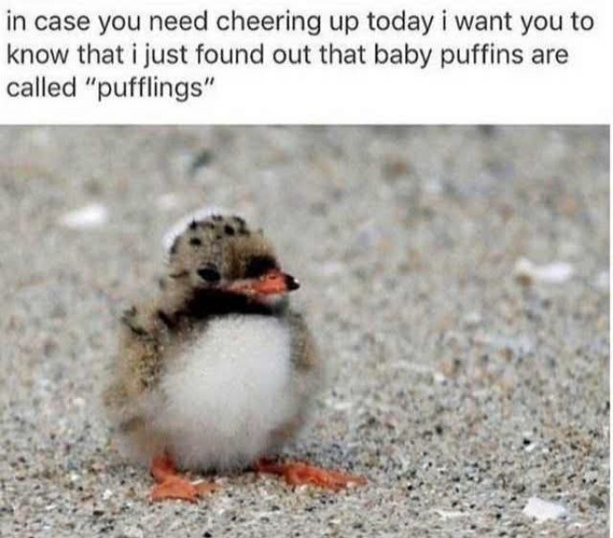 Roll up, Ladies and Gentlecreatures, the Bluestocking has been redecorated