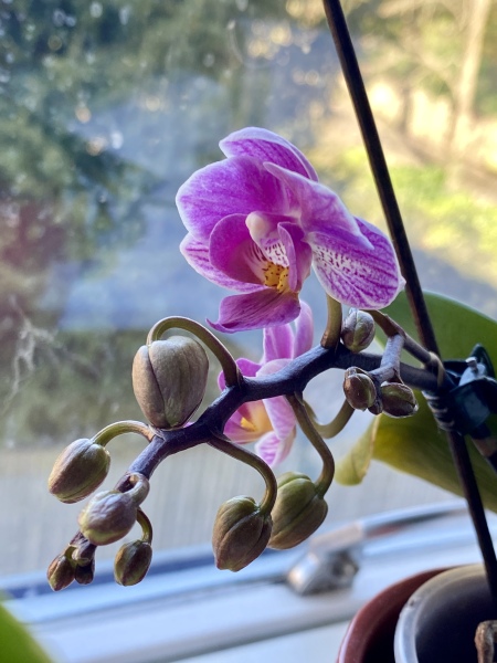 Thread 17 - TalkLair: "Okay, first of all, what's with the outfit? Live in the now, okay? You look like DeBarge."