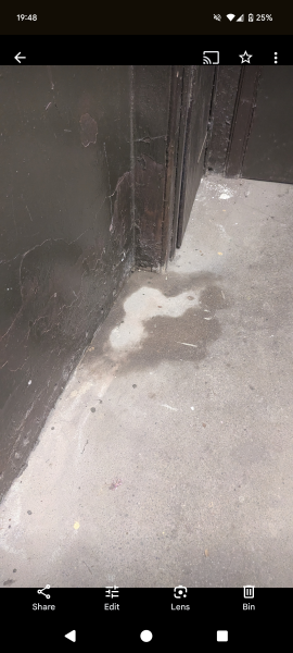 Is this rising damp?